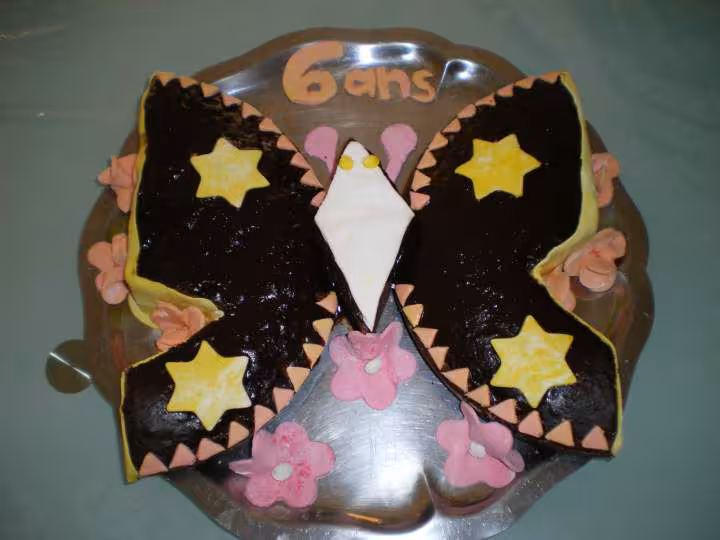 Gateau papillon avec pate chamallow