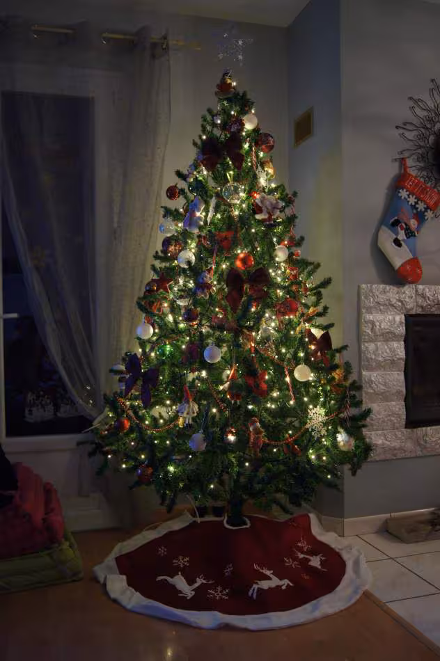 Mon sapin 2012