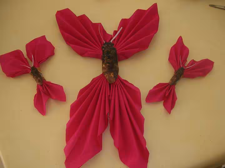 Papillon realiser avec du crepon