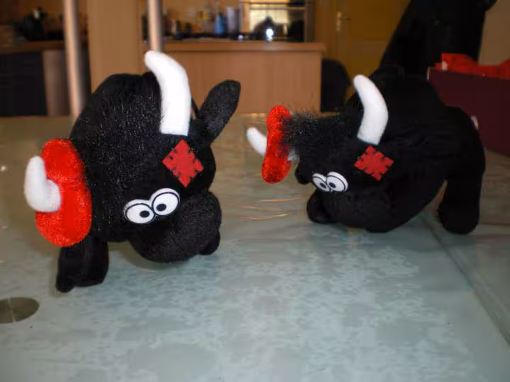 Peluches toros