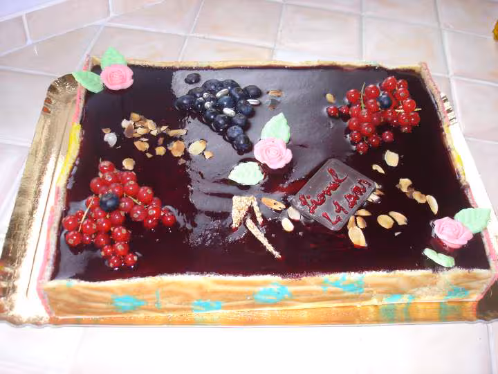 2em bavarois fruits rouges et chocolat noir