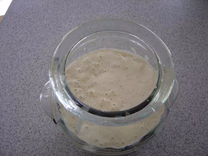 Levain 1