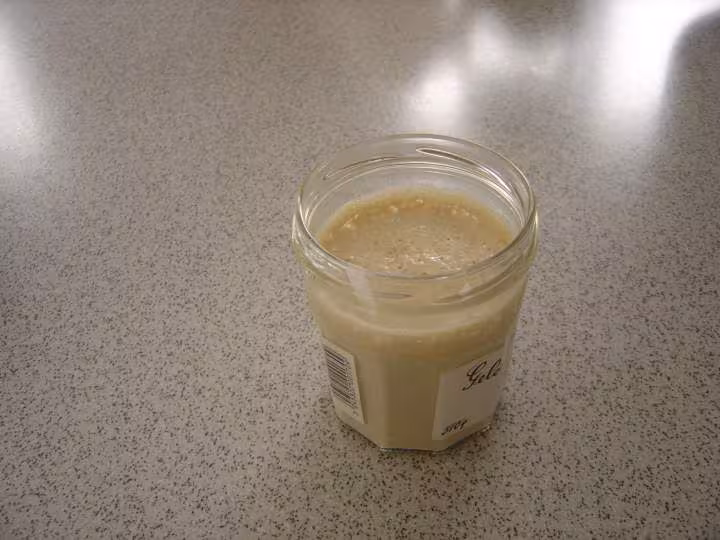 Levain2