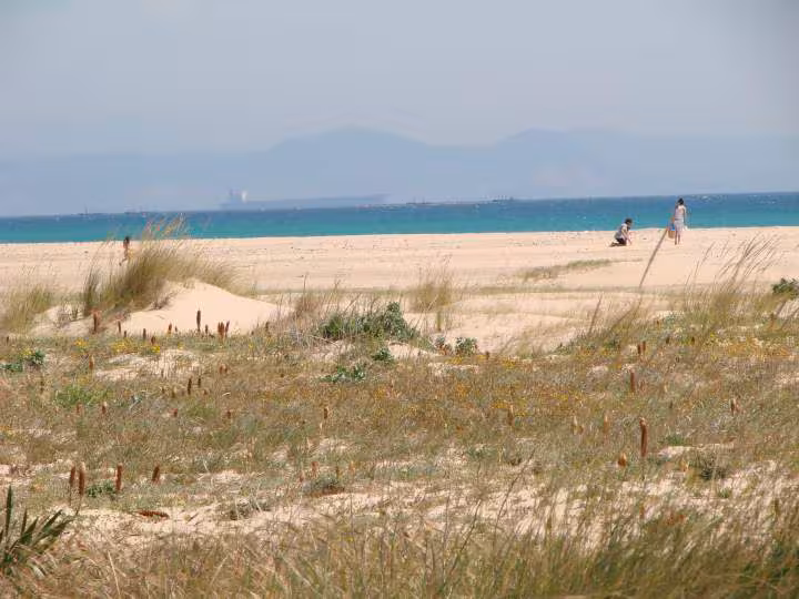 Plage tarifa