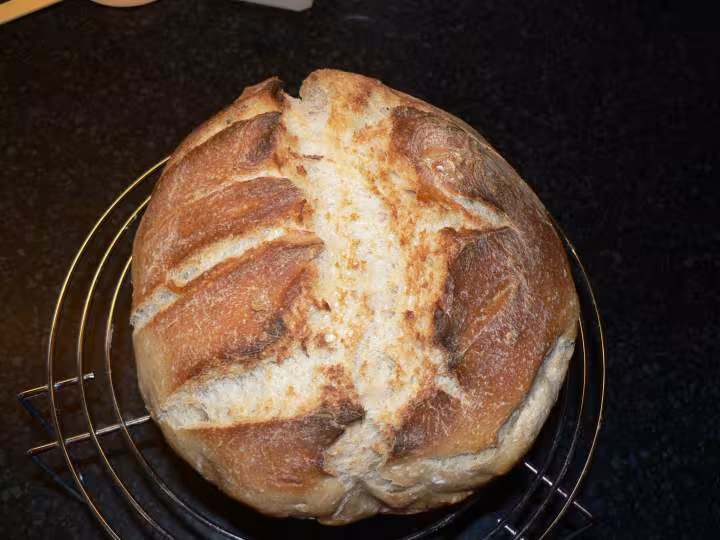 1er pain au levain