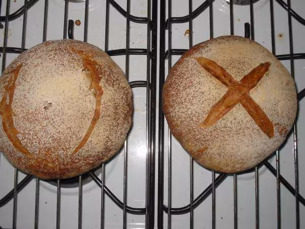 Premiers pains sur poolish