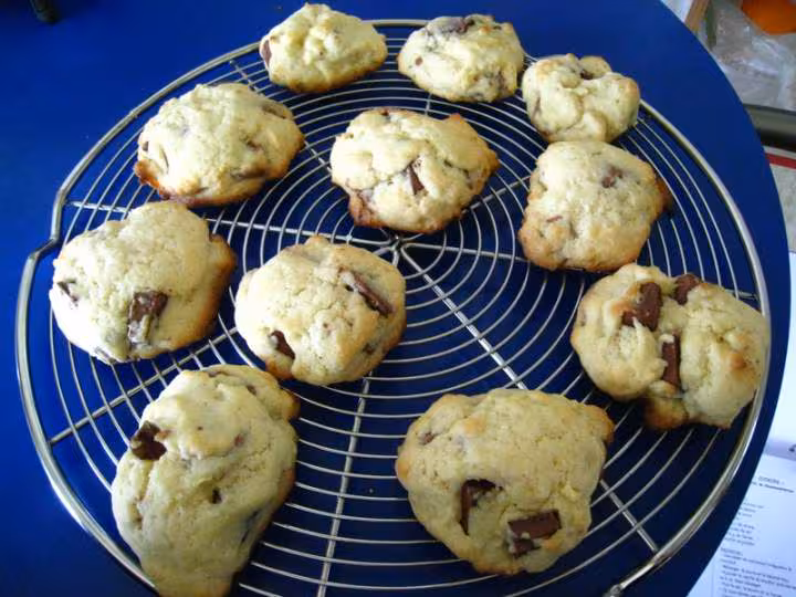 Cookies de salamandrerose