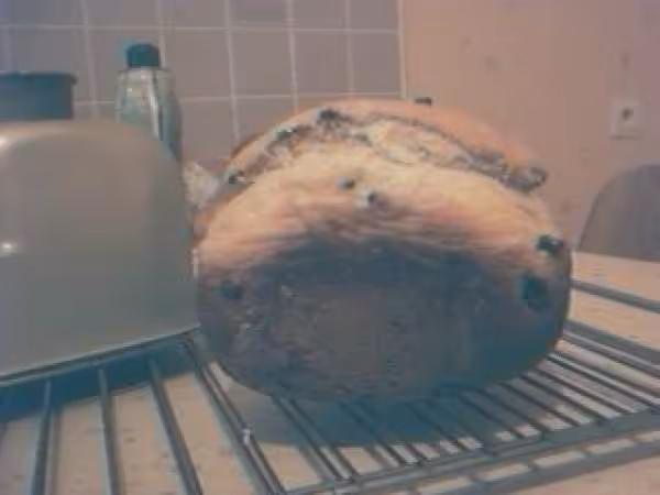 Pain au yaourt miel et raisins