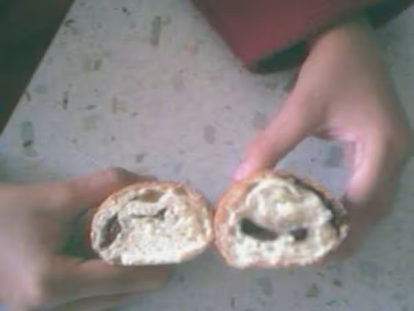 Petits pains au lait