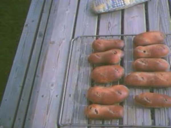 Petits pains au lait suite