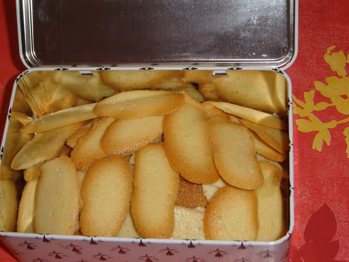 Langues de chat