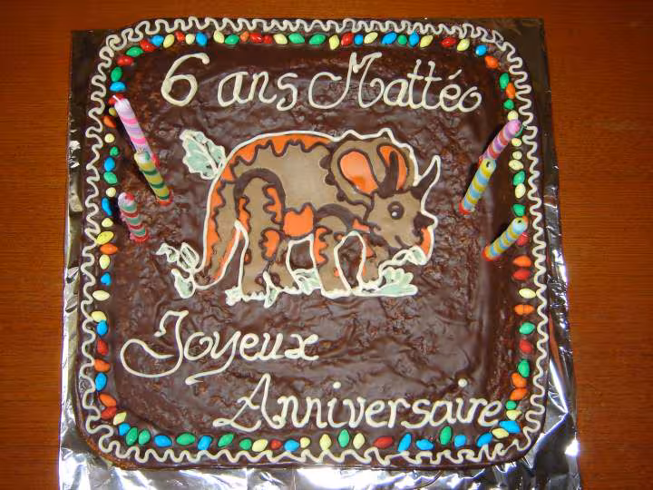 Triceratops 6 ans matteo