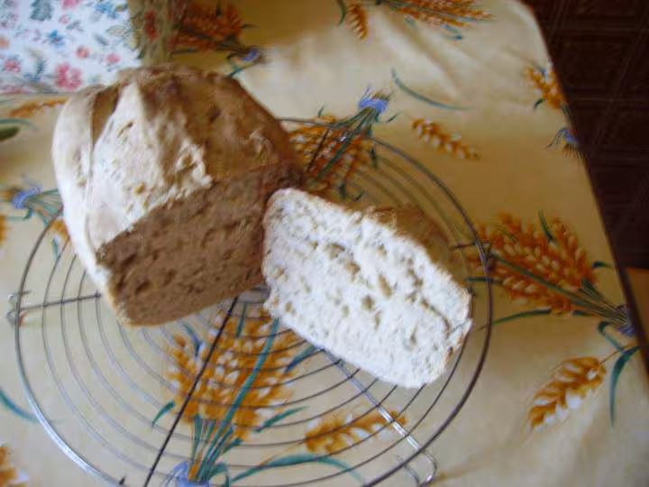 La mie du pain au levain
