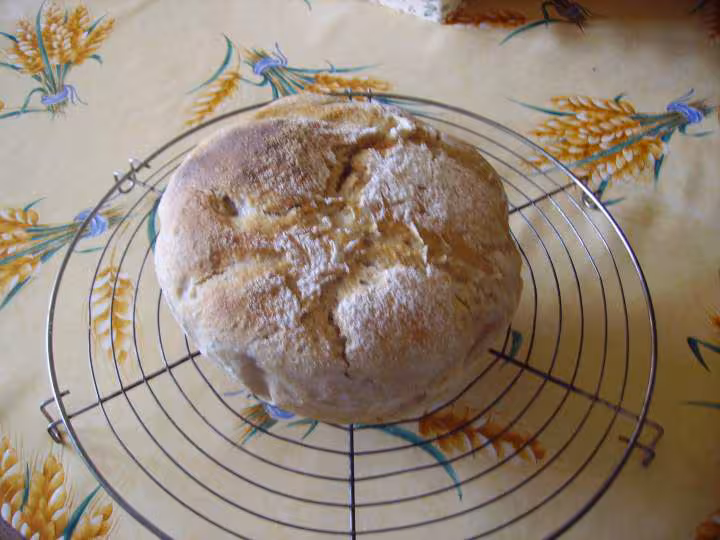 Le pain tout au levain