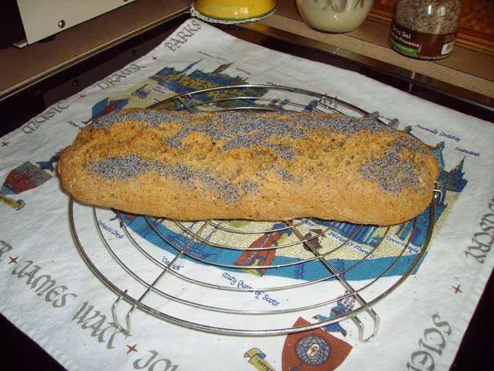 Pain au levain au quinoa et aux graines petri a la main