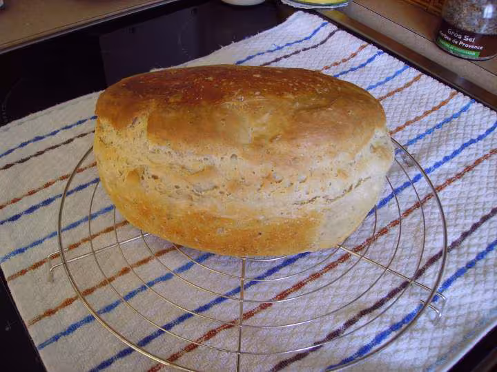 Pain zaalish aux graines