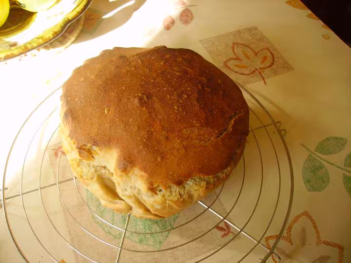 Pain zaalish tout levain