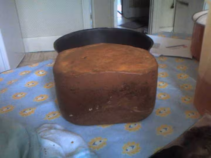 Brioche