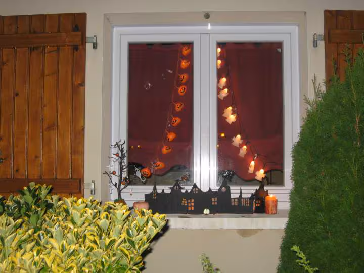 Halloween 2008 2
