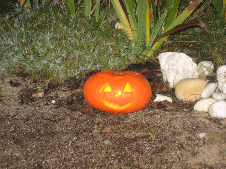 Halloween 2008 4