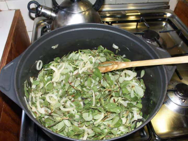Sopa de beldroegas