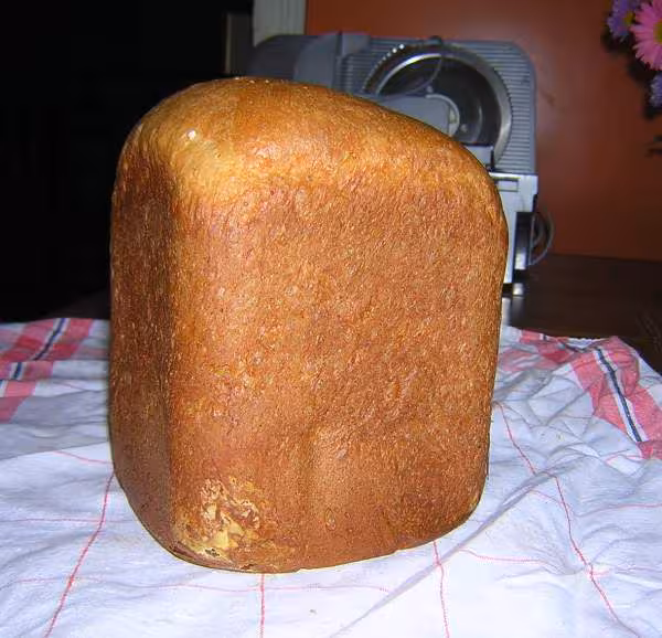 Gache vendeenne