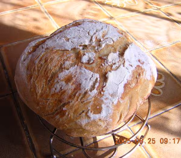 Miche levure kayser