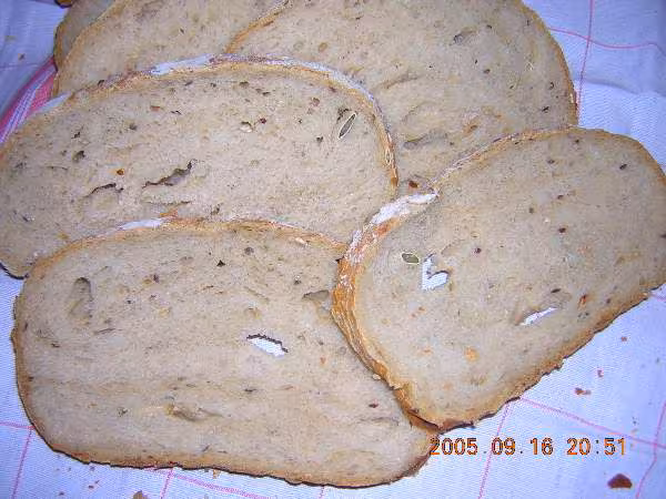 Pain levain kayser