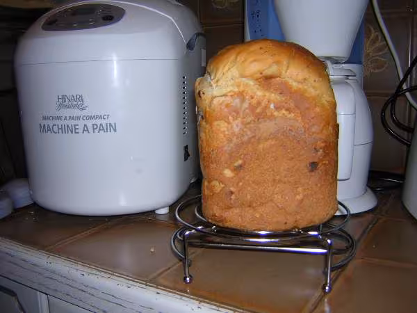 Pain viennois