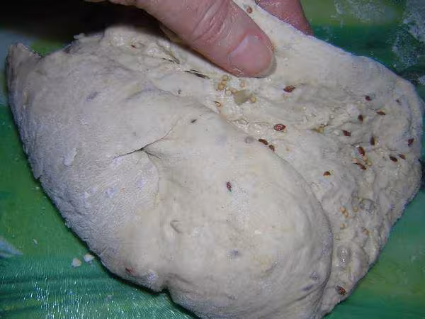 Pliage du paton