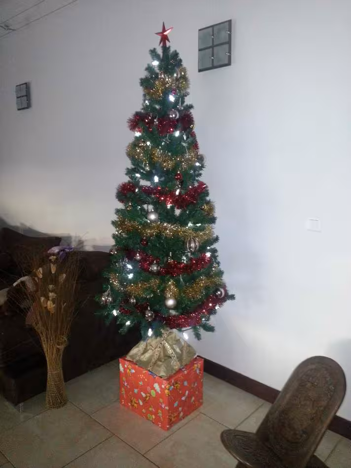 Sapin noel 2012