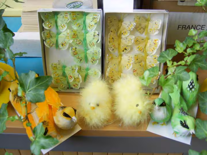 Decos oiseaux papillons poussins