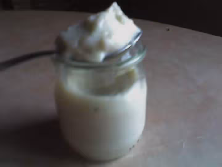 Creme dessert vanille