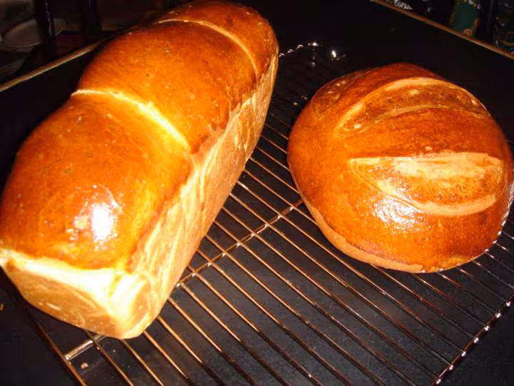 Brioches du jour