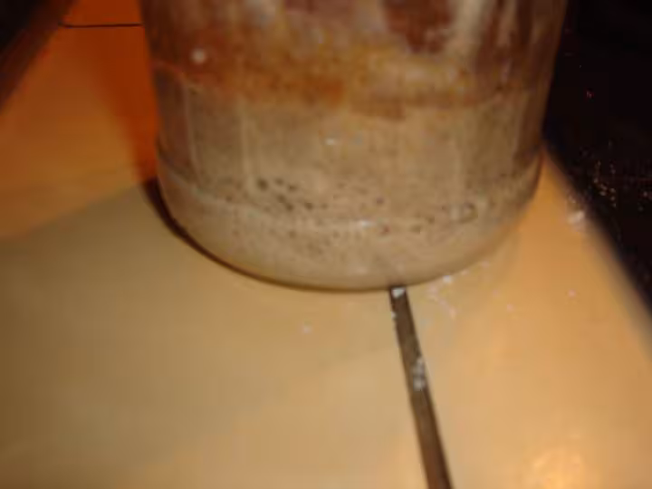 Levain liquide j 3