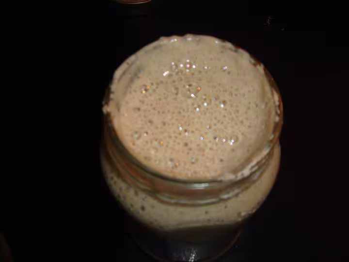 Levain liquide j 3