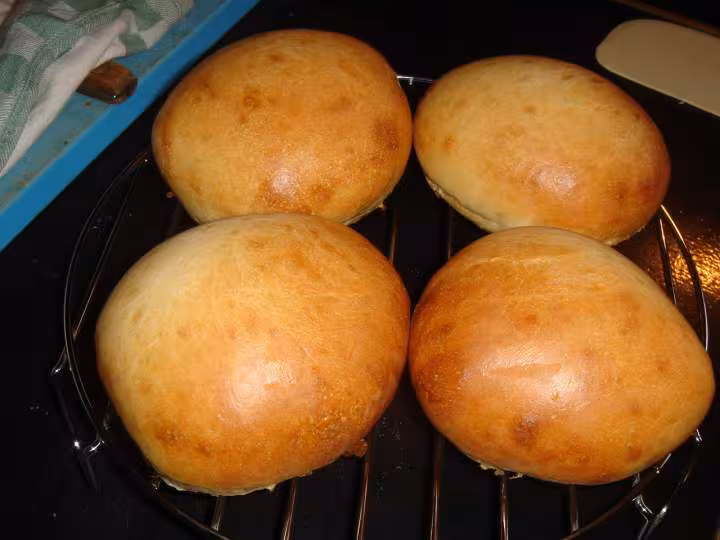 Pain hamburger au levain