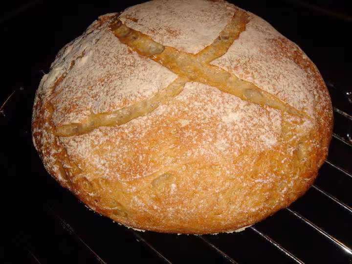 Pain levain