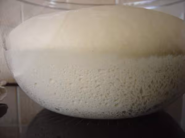 Baguette sur poolish