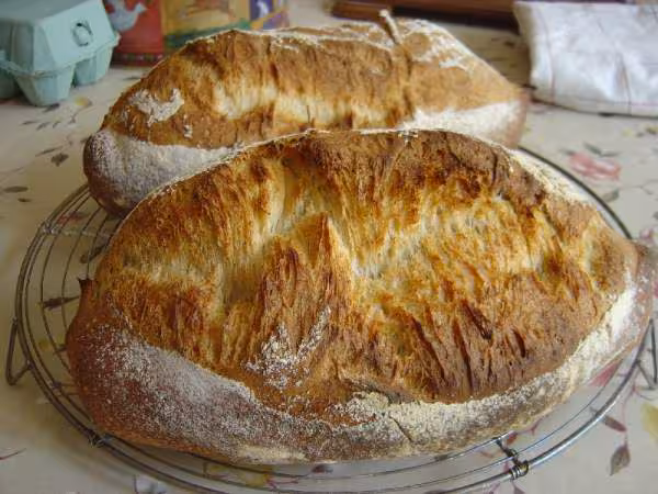 Fournee du 26 06 06 pain au levain pointage long