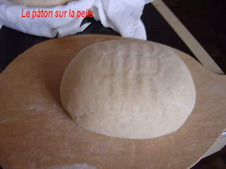 Le paton sur la pelle