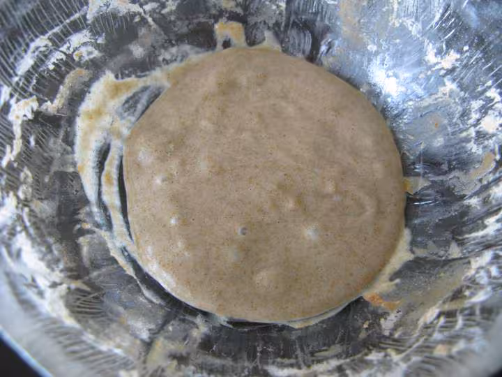 Levain 3eme jour