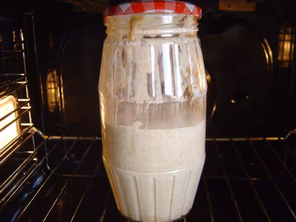 Levain avec rafraichi