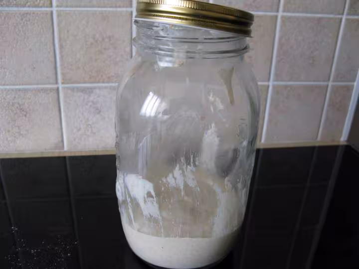 Levain deuxieme rafraichi