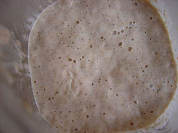 Levain olympe ne en septembre 2005