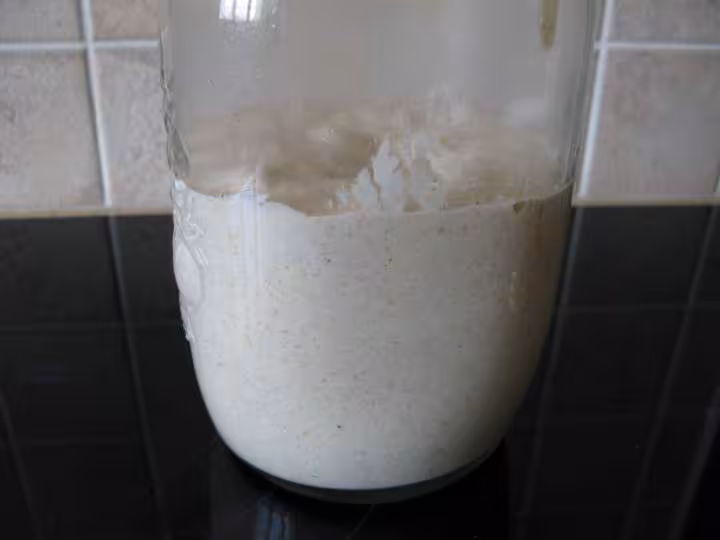 Levain quelques heures apres