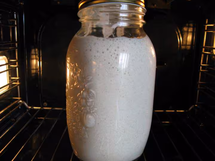Levain t65