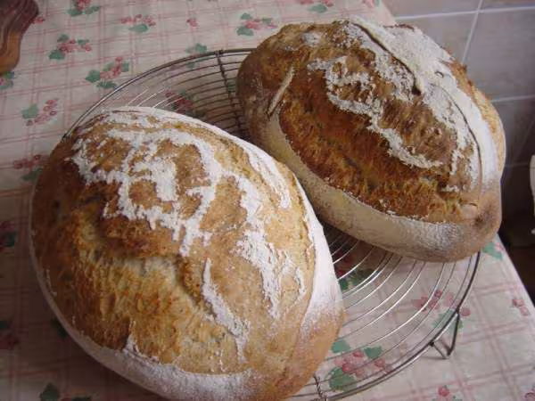 Pain au levain