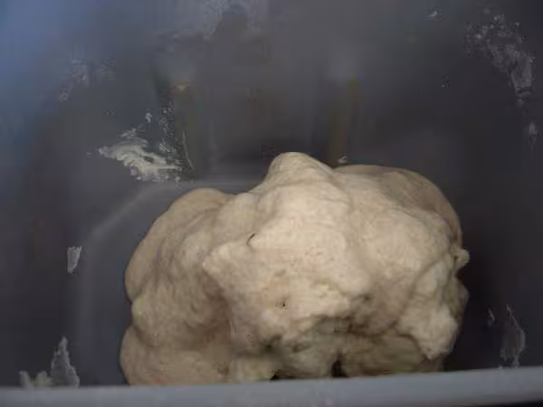 Pain au levain petri en map