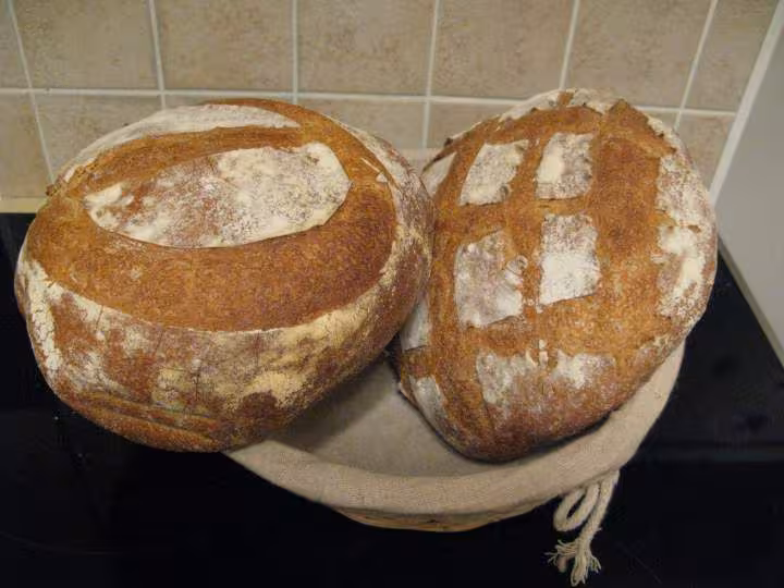 Pain au levain t65 bio 28 09 08